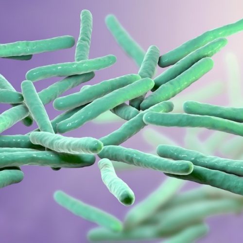 Hanseniase mycobacterium leprae bacteria picture id1179781742